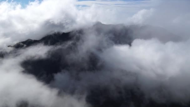 Bewegende Mist Wolken Wolkenwoudbergen Van Horton Plains Worlds End View — Stockvideo