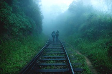 Two people walking in rain on railway through foggy jungle forest, Ella Sri Lanka