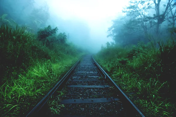 Ferroviária turva através da floresta nebulosa da selva, Ella Sri Lanka — Fotografia de Stock