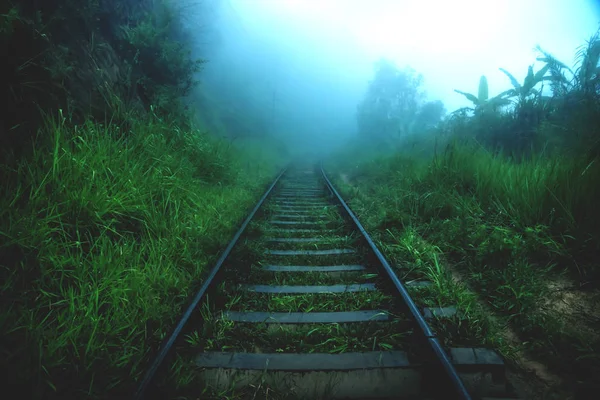 Estrada de ferro molhada escura através da floresta nebulosa da selva, Ella Sri Lanka — Fotografia de Stock