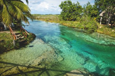 Sunny seven colored lagoon surrounded by tropical plants in Bacalar, Quintana Roo, Mexico clipart