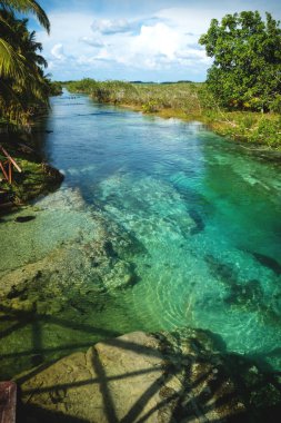 Sunny seven colored lagoon surrounded by tropical plants vertical in Bacalar, Quintana Roo, Mexico clipart