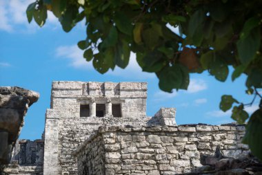 Mavi gökyüzü, Tulum, Meksika 'daki tropikal bitkiler tarafından çerçevelenmiş El Castillo Maya kalıntıları