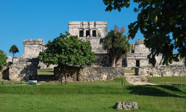 Maya harabeleri tropikal bitkiler ve mavi gökyüzü, Tulum, Meksika