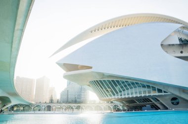 Valencia, Spain - 17 February 2020: Front of Palau des Arts Reina Sofia in the City of Arts and Sciences designed by architects Santiago Calatrava and Felix Candela