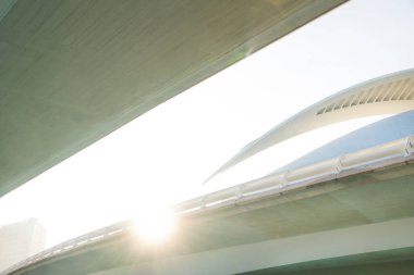 Valencia, Spain - 17 February 2020: Detail of Palau des Arts Reina Sofia through Pont de Montolivet in the City of Arts and Sciences designed by architects Santiago Calatrava and Felix Candela