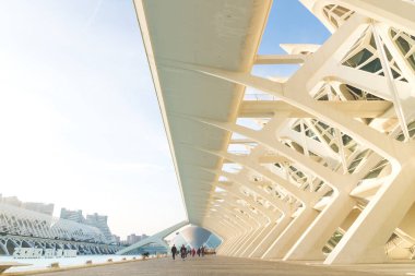 Valencia, Spain - 17 February 2020: Construction of Science Museum at the City of Arts and Sciences designed by architects Santiago Calatrava and Felix Candela