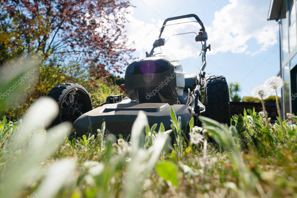 Low angle shot of high grass with mowing machine on sunny day in a garden