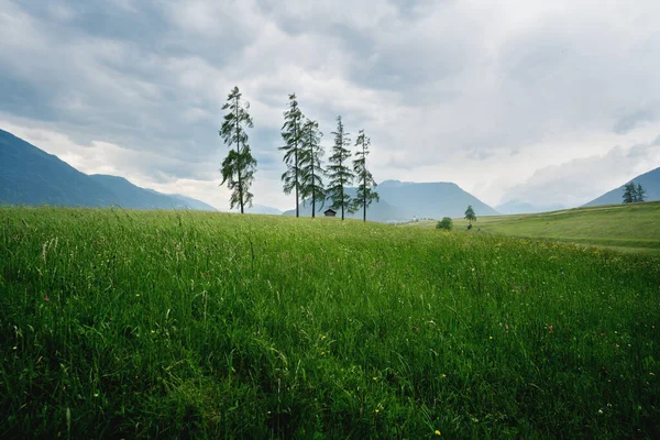 荒天時に松や小屋とオーストリアの山の風景の中に高い草の牧草地 Mieminger高原 チロル オーストリア — ストック写真
