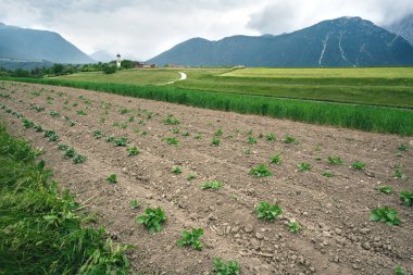 Avusturya 'nın Alp köyünün önünde fırtınalı havalarda tipik bir kilise olan sebze tarlaları, Mieminger Platosu, Tyrol, Avusturya