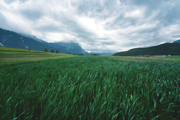 Vegetabilisk Jordbruksmark Bergsdal Österrikiska Alperna Med Stormlandskap Mieminger Plateau Tyrolen — Stockfoto