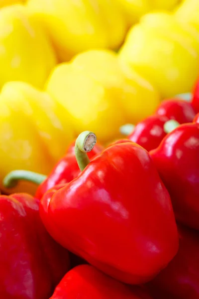 Row sweet pepper red yellow close-up background