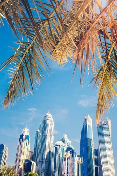 Panoramic vertical view of palm trees and skyscrapers, vacation concept.