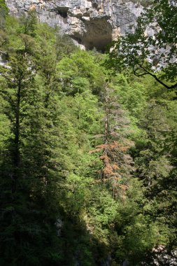 Pireneler 'deki Ordesa ve Monte Perdido doğal parkı. Huesca İspanya