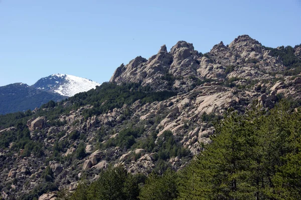 La pedriza regional park in the northern highlands of Madrid — Stock Photo, Image