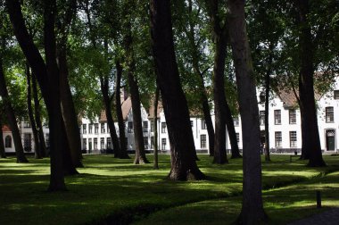 Cadıları ziyaret et. Belçika 'nın Flamenko kısmının şehri.