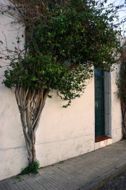 Gümüş Nehri kıyısındaki Sacramento kolonisi, Uruguay