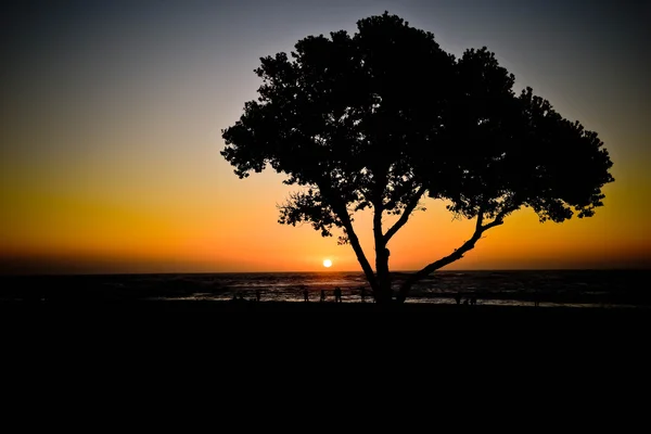Sunset, Camps Bay, Cape Town (Ciudad del Cabo), Sudáfrica — Foto de Stock