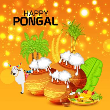 Bir arka plan vektör çizim için mutlu Pongal.