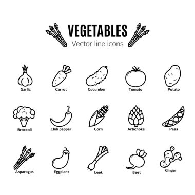 Sebze Icon set. Vegan doğal biyo sembollerin. Enginar, kuşkonmaz, buğday, muz, üzüm, pırasa, sarımsak, zencefil ve diğer organik gıda işaretleri.