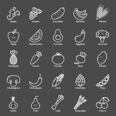Meyve ve sebze Icon set. Vegan doğal biyo sembollerin. Enginar, kuşkonmaz, buğday, muz, üzüm, pırasa, sarımsak, zencefil ve diğer organik gıda işaretleri.