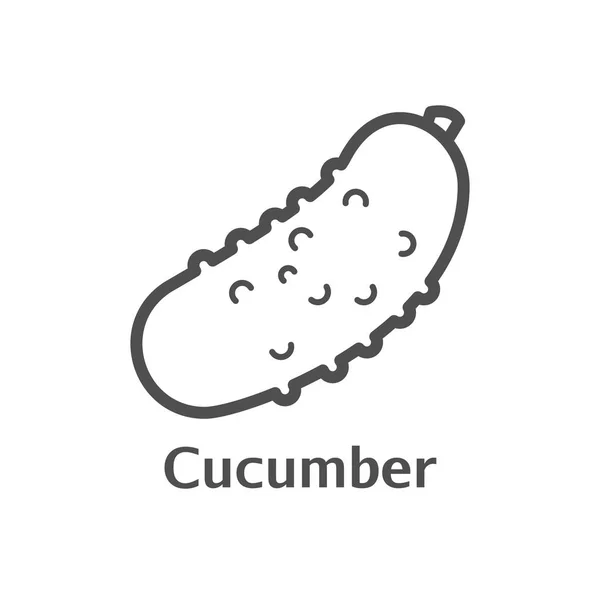 Cucumber ícone de vetor de linha fina. Estilo linear vegetal isolado para menu, rótulo, logotipo. Sinal de comida vegetariana simples —  Vetores de Stock