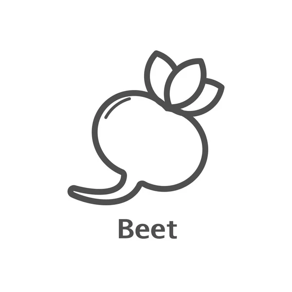 사탕 무 우 선 벡터 아이콘입니다. 근대의 뿌리 채소 선형 스타일 메뉴, 라벨, 로고에 대 한 고립. 간단한 채식 식품 기호 — 스톡 벡터