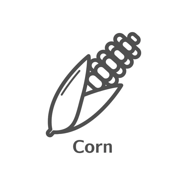 Corn tunn linje vektor ikonen. Isolerade majs grönsaker linjär stil för menyn, etikett, logotyp. Enkla vegetariska mat tecken. — Stock vektor