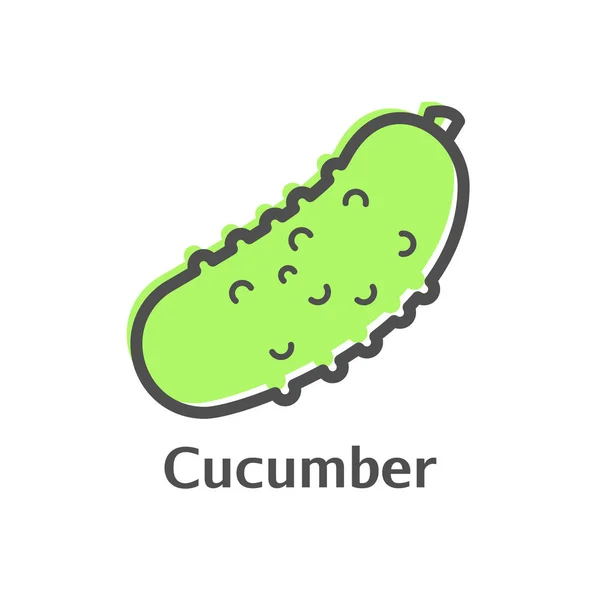 Cucumber ícone de vetor de linha fina. Estilo linear vegetal isolado para menu, rótulo, logotipo. Sinal de comida vegetariana simples —  Vetores de Stock