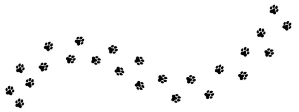 Kot lub pies łapa. Ślady pieszych stóp zwierząt — Wektor stockowy