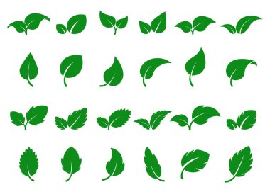 Yeşil yapraklı logo. Yaprak simgesi ayarlandı. Bitkisel çevre etiketi. Biyoloji, vejetaryen ya da eczane konsepti. Taze nane izole edilmiş. Vektör ağacı filizi
