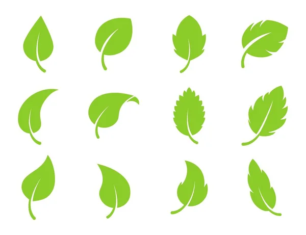 Eko liść zielony kolor wektor logo płaski zestaw ikon. Pojedyncze kształty liści na białym tle. Bio roślina i drzewo kwiatowy las koncepcja projekt — Wektor stockowy