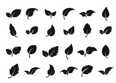 Logo bırakıyor. Yaprak simgesi ayarlandı. Bitkisel çevre etiketi. Biyoloji, vejetaryen ya da eczane konsepti. Taze nane izole edilmiş. Vektör ağacı filizi