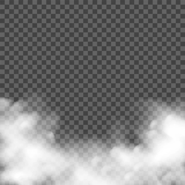 Spookt efecto niebla. Humo Raelista, niebla vectorial. Esmog transparente nube polvo fondo — Vector de stock