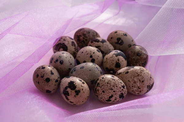 Pembe ve beyaz arka planda Paskalya bıldırcın yumurtaları