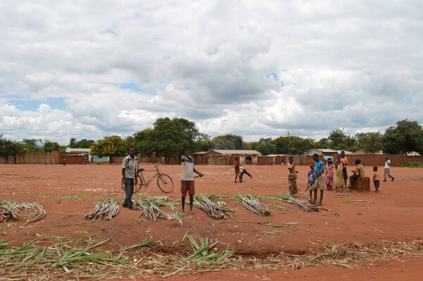 LILONGWE, MALAWI, AFRICA - APRIL 1, 2018: Men are selling green vegetables near African woman and children near the road in one of the poorest countries in the world.