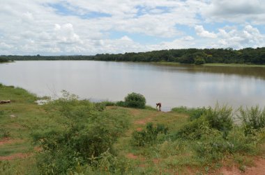 Lilongwe 'deki Kamuzu Barajı' nın güzel manzarası, Afrika 'daki Malavi. Afrikalı kadın yeşil ağaçlar ve otlarla çevrili gölden su alıyor..