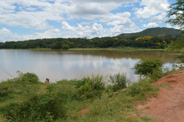 Peaceful scenery of Kamuzu Dam in Lilongwe, Malawi in Africa. African woman is taking water from the lake, surrounded by hills, green trees and grass.