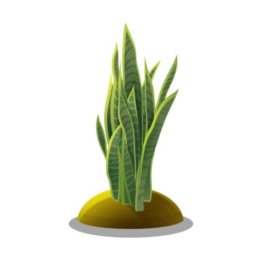 Çizgi film vahşi bitkiler