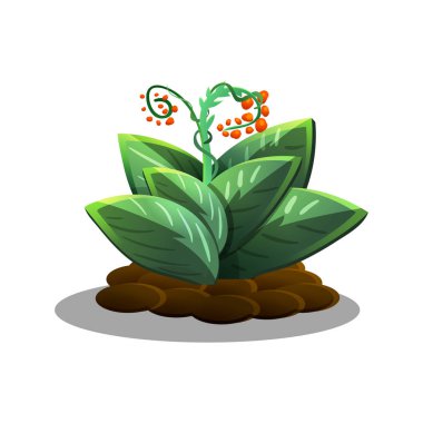 Çizgi film vahşi bitkiler