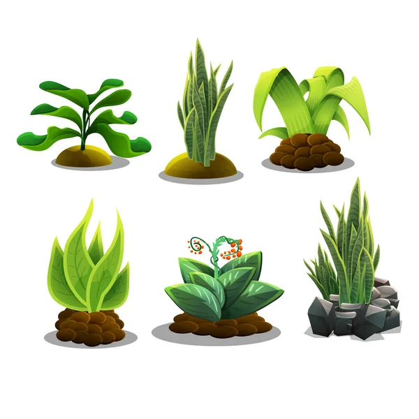 Dessin animé plantes sauvages — Image vectorielle