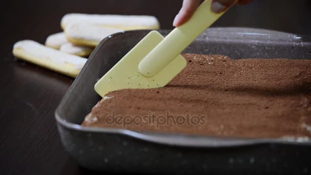 Huisgemaakte tiramisu taart traditioneel Italiaans dessert. Te snijden de taart — Stockvideo