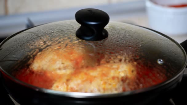 Bir kadın yemek tavuk domates soslu. El açık tava kapağı. — Stok video