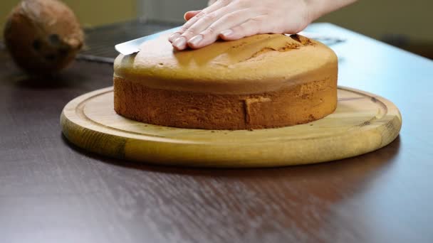 Mulher mão corte esponja-bolo. Cortando um bolo de casamento de esponja . — Vídeo de Stock