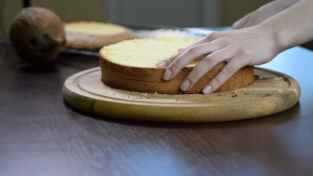 Mujer corte a mano bizcocho. Cortar un pastel de boda de esponja . — Vídeos de Stock