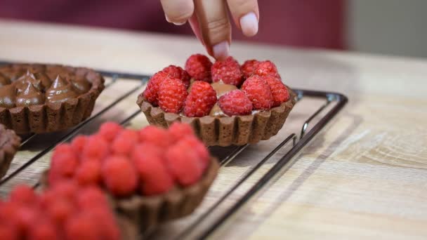 Decorar con frambuesas tartas de chocolate — Vídeo de stock