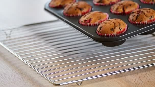 Φρέσκα σπιτικά νόστιμα muffins — Αρχείο Βίντεο