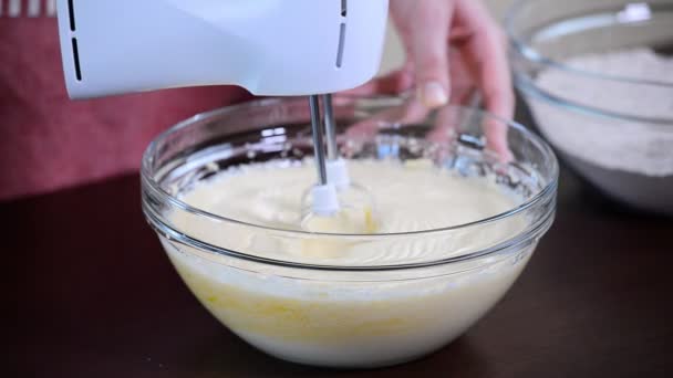 Processador de comida para amassar a massa de farinha do bolo. Despeje a farinha — Vídeo de Stock