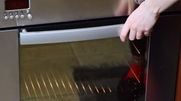 Woman's hand puts a potato casserole in the oven — Stock Video