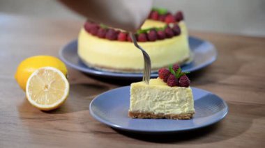 New york tarzı cheesecake dilim. New York Cheesecake yemek kız